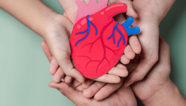 Come funziona il cuore? Ecco alcune cose che non sapevi!